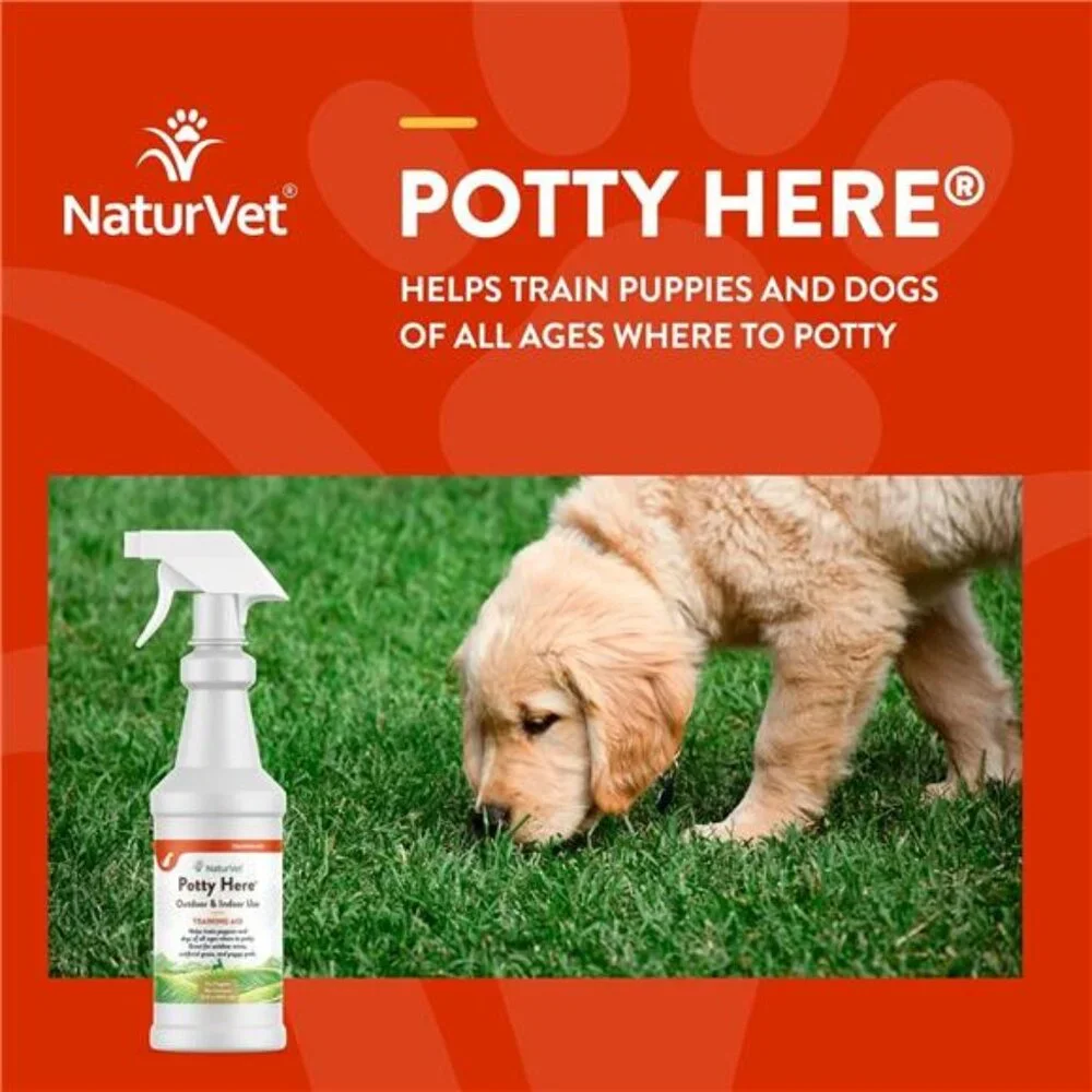 Potty Here Training Aid Spray | Attractive Scent Helps Train Puppies & Dogs